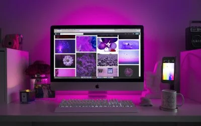 10 Essential Web Design Trends to Elevate Your Online Presence